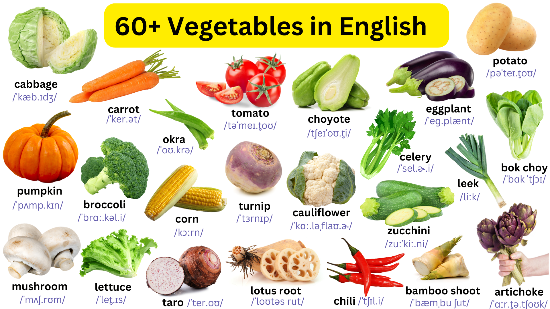 Vegetables Vocabulary